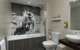 A Standard Bathroom